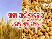 ଗହମର ଏହି କିସମର ଅଟା ଖାଆନ୍ତୁ , କମ ହେବ ଡାଇବେଟିସ   ଗହମର ଏହି କିସମର ଅଟା ଖାଆନ୍ତୁ , କମ ହେବ ଡାଇବେଟିସ