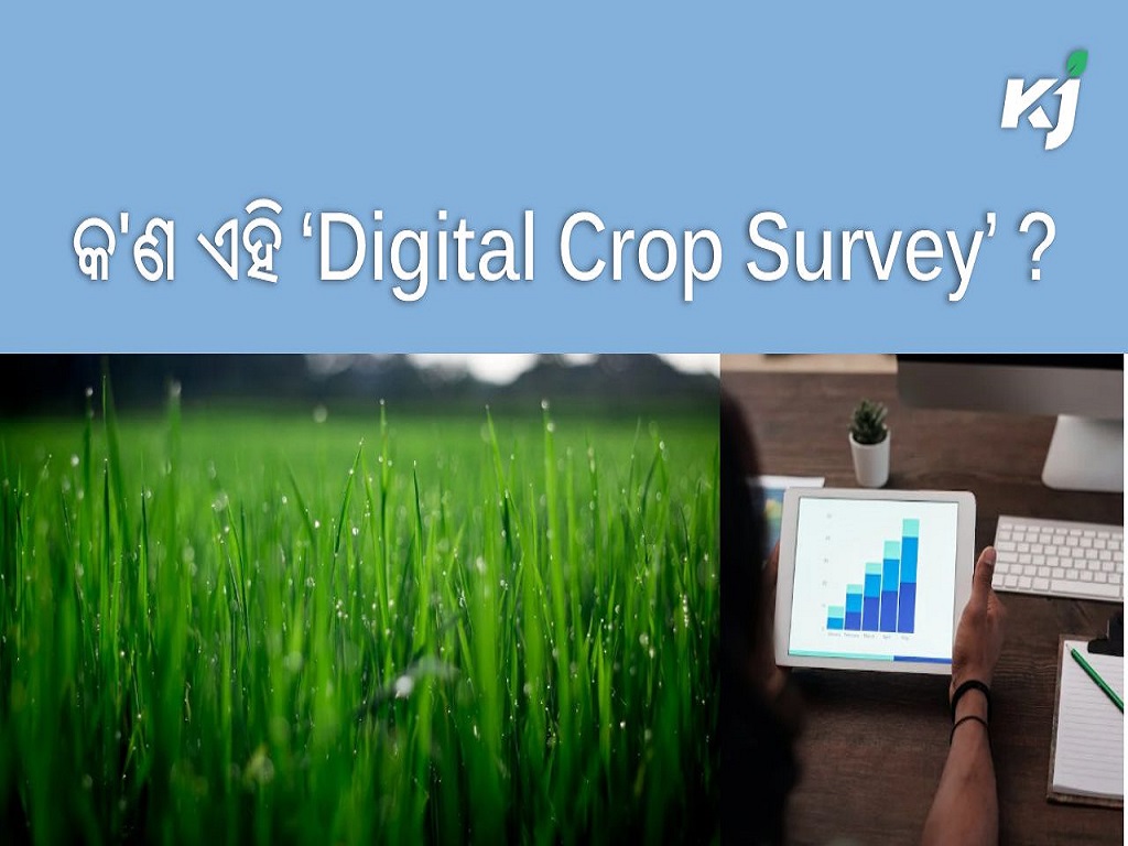 Digital crop survey will start soon , image source - pexels.com