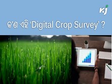 ଓଡ଼ିଶାରେ ଆରମ୍ଭ ହେବ ‘Digital Crop Survey’