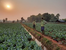  ଆଜି କୃଷକଙ୍କୁ ପ୍ରଧାନମନ୍ତ୍ରୀ ମୋଦୀ ଦେବେ ଉପହାର