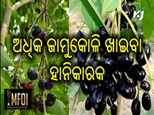 ଏହି ରୋଗୀଙ୍କୁ ଜାମୁକୋଳି ଖାଇବା ମନା ? 