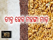 ଆଗକୁ ଭାରତରେ ତୀବ୍ର ହେବ ମହଙ୍ଗା ମାଡ଼