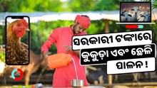 କୁକୁଡ଼ା ଏବଂ ଛେଳି ପାଳନରେ ମିଳିବ, ସରକାରୀ ଟଙ୍କା  କୁକୁଡ଼ା ଏବଂ ଛେଳି ପାଳନରେ ମିଳିବ, ସରକାରୀ ଟଙ୍କା