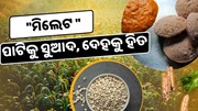 ଏବେ ସ୍କୁଲ ମଧ୍ୟାହ୍ନ ଭୋଜନ ଓ ମେଡିକାଲରେ ମିଳିବ ମିଲେଟ୍ ଖାଦ୍ୟ  ଏବେ ସ୍କୁଲ ମଧ୍ୟାହ୍ନ ଭୋଜନ ଓ ମେଡିକାଲରେ ମିଳିବ ମିଲେଟ୍ ଖାଦ୍ୟ