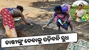 ଚାଷୀଙ୍କ ଋଣ ଛାଡ ପାଇଁ ନିର୍ଦ୍ଦେଶ ଦେଲେ ସରକାର 