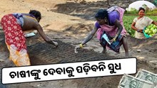 ଚାଷୀଙ୍କ ଋଣ ଛାଡ ପାଇଁ ନିର୍ଦ୍ଦେଶ ଦେଲେ ସରକାର 
