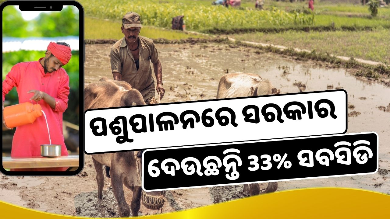 Good news for farmers, 33% subsidy will be given on making units of  animals pic credit @pmoindia and pexels.com