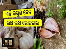 ଜୈବିକ ଉପାୟରେ ରସୁଣ ଚାଷ: ୬ ମାସରେ ଲକ୍ଷ ଲକ୍ଷ ଟଙ୍କାର ରୋଜଗାର କରନ୍ତୁ  ଜୈବିକ ଉପାୟରେ ରସୁଣ ଚାଷ: ୬ ମାସରେ ଲକ୍ଷ ଲକ୍ଷ ଟଙ୍କାର ରୋଜଗାର କରନ୍ତୁ