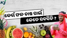 ଏବେ ଫଳ ଚାଷକଲେ ସରକାର ଦେବେ ସବସିଡି