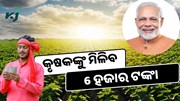  କୃଷକଙ୍କୁ ମିଳିବ 6 ହଜାର, ଶୀଘ୍ର କରନ୍ତୁ ଆବେଦନ 