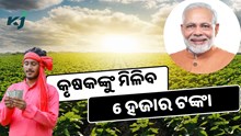  କୃଷକଙ୍କୁ ମିଳିବ 6 ହଜାର, ଶୀଘ୍ର କରନ୍ତୁ ଆବେଦନ 