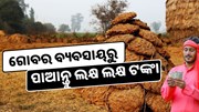 ଗୋବର ବ୍ୟବସାୟରେ ସରକାର କରୁଛନ୍ତି ସାହାର୍ଯ୍ୟ  ଗୋବର ବ୍ୟବସାୟରେ ସରକାର କରୁଛନ୍ତି ସାହାର୍ଯ୍ୟ