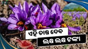 ଏହି ଚାଷ ବଦଳାଇ ଦେବ ଚାଷୀଙ୍କ ଭାଗ୍ୟ  ଏହି ଚାଷ ବଦଳାଇ ଦେବ ଚାଷୀଙ୍କ ଭାଗ୍ୟ