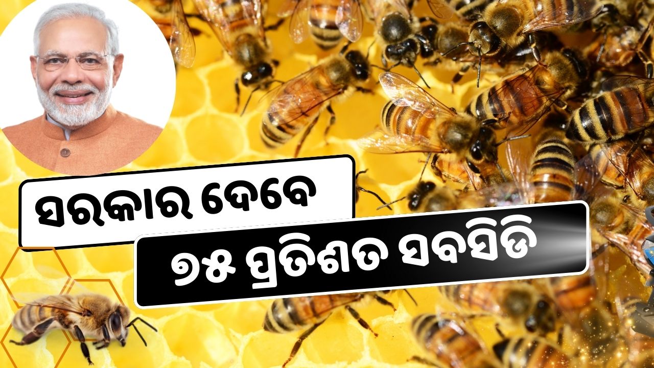 Government is giving subsidy up to 75 percent on beekeeping , image source - pexels.com  . @pmoindia