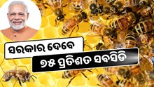 ମହୁମାଛି ଚାଷରେ ସରକାର ଦେବେ ବମ୍ପର ସବସିଡି ମହୁମାଛି ଚାଷରେ ସରକାର ଦେବେ ବମ୍ପର ସବସିଡି