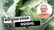 ସରକାର ଦେଉଛନ୍ତି କ୍ଷତିପୂରଣ, ଶୀଘ୍ର କରନ୍ତୁ ଆବେଦନ 