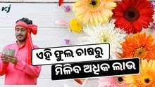 ବଢିଛି ଚାହିଦା, ଚାଷ କରି ହୁଅନ୍ତୁ ଲାଭବାନ ବଢିଛି ଚାହିଦା, ଚାଷ କରି ହୁଅନ୍ତୁ ଲାଭବାନ