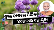 ଫୁଲ ଚାଷ କଲେ ସରକାର ଦେବେ ୪୦ହଜାର ସହାୟତା, କରନ୍ତୁ ଆବେଦନ  