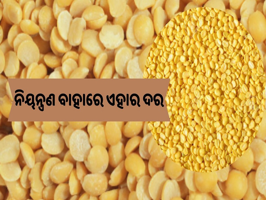 High price of harad dal in state, image source - twitter