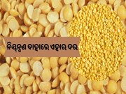 ଏବେ ଗ୍ରାହକଙ୍କୁ କନ୍ଦାଉଛି ହରଡ଼ ଡାଲି ଏବେ ଗ୍ରାହକଙ୍କୁ କନ୍ଦାଉଛି ହରଡ଼ ଡାଲି