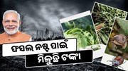 ଏହି ଯୋଜନାରେ ଫସଲ ନଷ୍ଟ ହୋଇଥିଲେ, ସରକାର ଦେଉଛନ୍ତି ଟଙ୍କା 