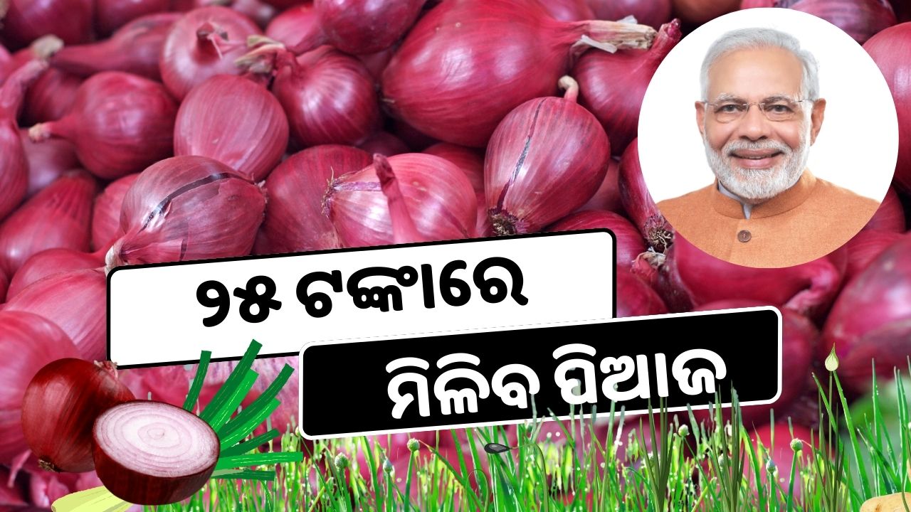 Consumers can avail onions at a subsidized rate of Rs 25 per kg through retail outlets pic credit @PMOindia and pexels.com