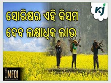 New Mustard Variety: ମାତ୍ର ୯୪ ଦିନରେ ପ୍ରସ୍ତୁତ ହୋଇଯିବ New Mustard Variety: ମାତ୍ର ୯୪ ଦିନରେ ପ୍ରସ୍ତୁତ ହୋଇଯିବ