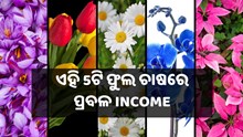 ଏହି 5ଟି ଫୁଲ ଚାଷ କରିଦେବ ଲକ୍ଷପତି, ଜାଣନ୍ତୁ କଣ ରହିଛି ନୂଆ ପ୍ରଣାଳୀ  ଏହି 5ଟି ଫୁଲ ଚାଷ କରିଦେବ ଲକ୍ଷପତି, ଜାଣନ୍ତୁ କଣ ରହିଛି ନୂଆ ପ୍ରଣାଳୀ
