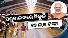 ପଶୁପାଳନରେ ମିଳୁଛି ୧୨ ଲକ୍ଷ ଟଙ୍କା, କରନ୍ତୁ ଆବେଦନ 