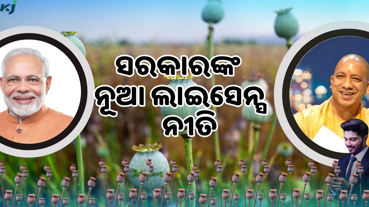 Government is giving license for cultivation of opium poppy pic credit @PMOindia and pexels.com