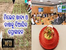 ମିଲେଟ ଖାଦ୍ୟ ସଂସ୍କୃତିର ହେବ ପୁନରୁଦ୍ଧାର ଓ ଚାଷକୁ ଦିଆଯିବ ପ୍ରୋତ୍ସାହନ