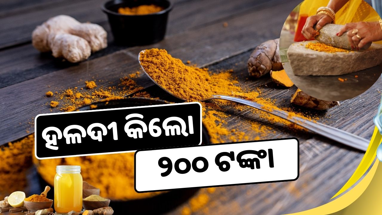 Turmeric is expensive prices have increased by 180 rupees  , image source - pexels.com