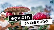 Sarkari Yojana: ଛତୁଚାଷରେ ସରକାର ଦେବେ ୧୦ ଲକ୍ଷ ସବସିଡି