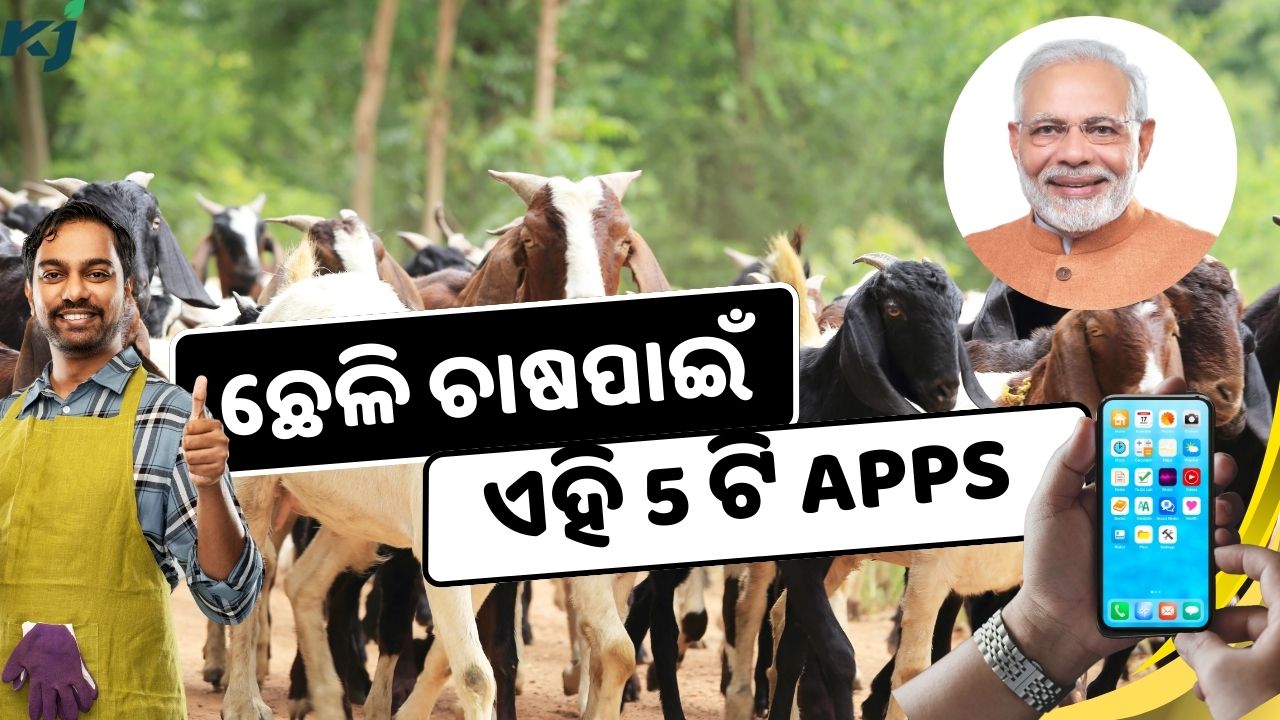 These 5 government apps are very useful for goat rearing farmers pic credit @PMOindia and pexels.com