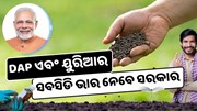 DAP ଏବଂ ୟୁରିଆରେ ମିଳିବ ସବସିଡି, ନୂତନ ସାର କାରଖାନା ପାଇଁ ପ୍ରସ୍ତୁତ ସରକାର  DAP ଏବଂ ୟୁରିଆରେ ମିଳିବ ସବସିଡି, ନୂତନ ସାର କାରଖାନା ପାଇଁ ପ୍ରସ୍ତୁତ ସରକାର