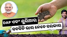 DAP ଏବଂ ୟୁରିଆରେ ମିଳିବ ସବସିଡି, ନୂତନ ସାର କାରଖାନା ପାଇଁ ପ୍ରସ୍ତୁତ ସରକାର  DAP ଏବଂ ୟୁରିଆରେ ମିଳିବ ସବସିଡି, ନୂତନ ସାର କାରଖାନା ପାଇଁ ପ୍ରସ୍ତୁତ ସରକାର