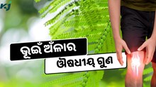 ଜାଣନ୍ତୁ, ଭୂଇଁ ଅଁଳାର ଔଷଧୀୟ ଗୁଣ 