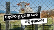 Mukhyamantri Khet Suraksha Yojana ରେ ଚାଷୀ ପାଇବେ ଲାଭ   Mukhyamantri Khet Suraksha Yojana ରେ ଚାଷୀ ପାଇବେ ଲାଭ