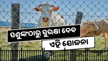 Mukhyamantri Khet Suraksha Yojana ରେ ଚାଷୀ ପାଇବେ ଲାଭ  