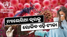 ମ୍ୟାଲେରିଆରେ ଆଉ ମରିବେନି ଲୋକେ, WHOର ଅନୁମୋଦନ, ବଞ୍ଚିବ ଲକ୍ଷ ଲକ୍ଷ ଜୀବନ