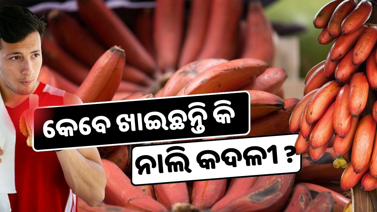 You can eat red banana in diabetes! It is cultivated in many states of India pic credit @pexels.com