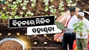 ଏହି ଯୋଜନାରେ ମଞ୍ଜି ପାଇଁ ମିଳିବ ସହାୟତା, କରନ୍ତୁ ଆବେଦନ 