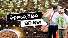 ଏହି ଯୋଜନାରେ ମଞ୍ଜି ପାଇଁ ମିଳିବ ସହାୟତା, କରନ୍ତୁ ଆବେଦନ 