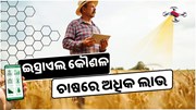 ଇସ୍ରାଏଲର ଏହି କୌଶଳ ବ୍ୟବହାର କରି ଫସଲ କଲେ ମିଳିବ ଅଧିକ ଲାଭ  ଇସ୍ରାଏଲର ଏହି କୌଶଳ ବ୍ୟବହାର କରି ଫସଲ କଲେ ମିଳିବ ଅଧିକ ଲାଭ
