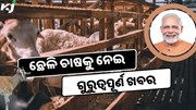 ଛେଳି ଚାଷକୁ ପ୍ରୋତ୍ସାହନ ଦେବେ ସରକାର, ମିଳିବ ସହାୟତାର ହାତ 