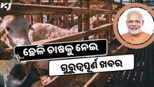 ଛେଳି ଚାଷକୁ ପ୍ରୋତ୍ସାହନ ଦେବେ ସରକାର, ମିଳିବ ସହାୟତାର ହାତ 