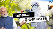 ମାଗଣାରେ କରାଯିବ ଡି-କମ୍ପୋଜର ସ୍ପ୍ରେ, ଜାଣନ୍ତୁ କଣ ରହିଛି ଲାଭ ?  ମାଗଣାରେ କରାଯିବ ଡି-କମ୍ପୋଜର ସ୍ପ୍ରେ, ଜାଣନ୍ତୁ କଣ ରହିଛି ଲାଭ ?