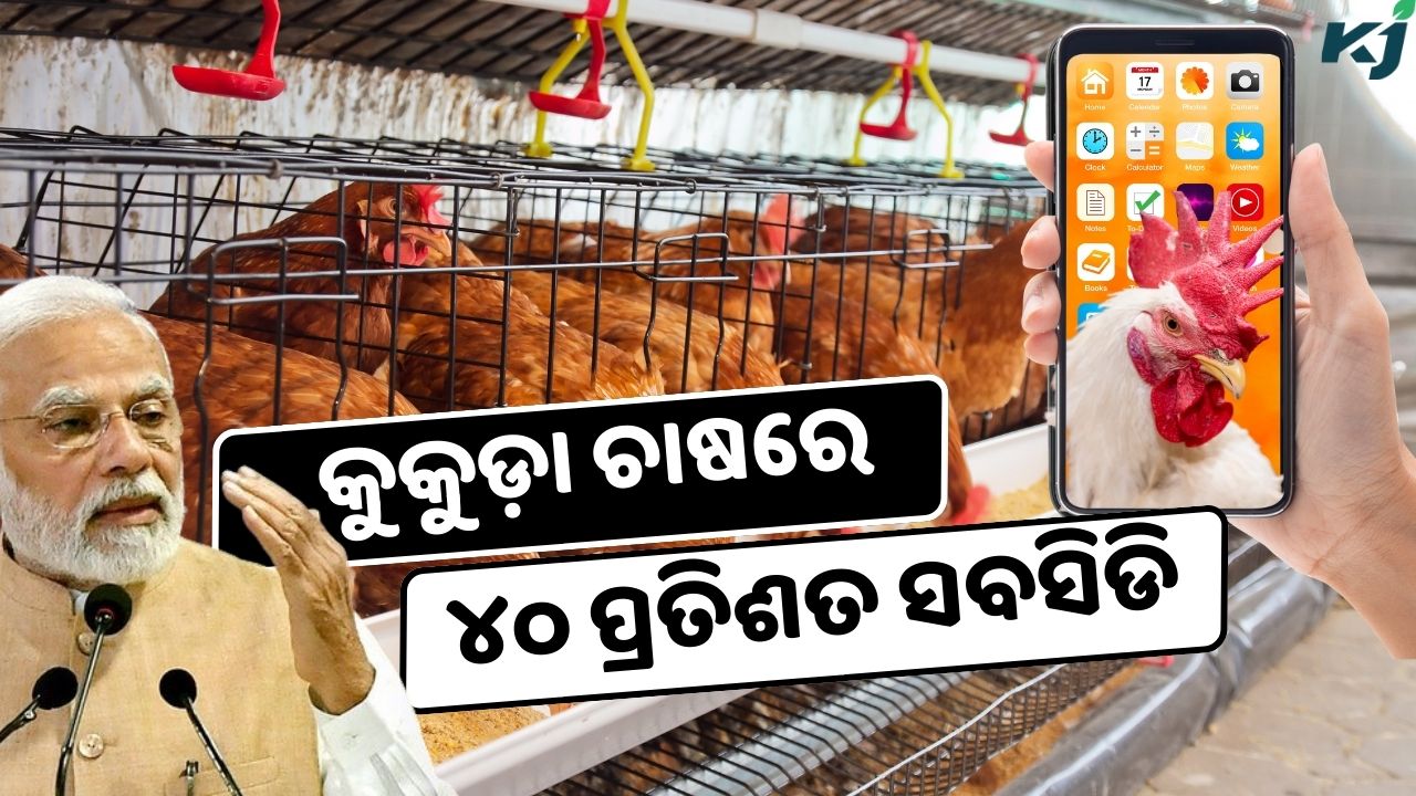 State government is giving up to 40 percent subsidy on poultry farming pic credit @PMOindia and pexels.com