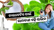 ଡାଇବେଟିସ ପାଇଁ ରାମବାଣ ଏହି ଉଦ୍ଭିଦ, ଚିନି ବଦଳରେ କରିପାରିବେ ବ୍ୟବହାର 