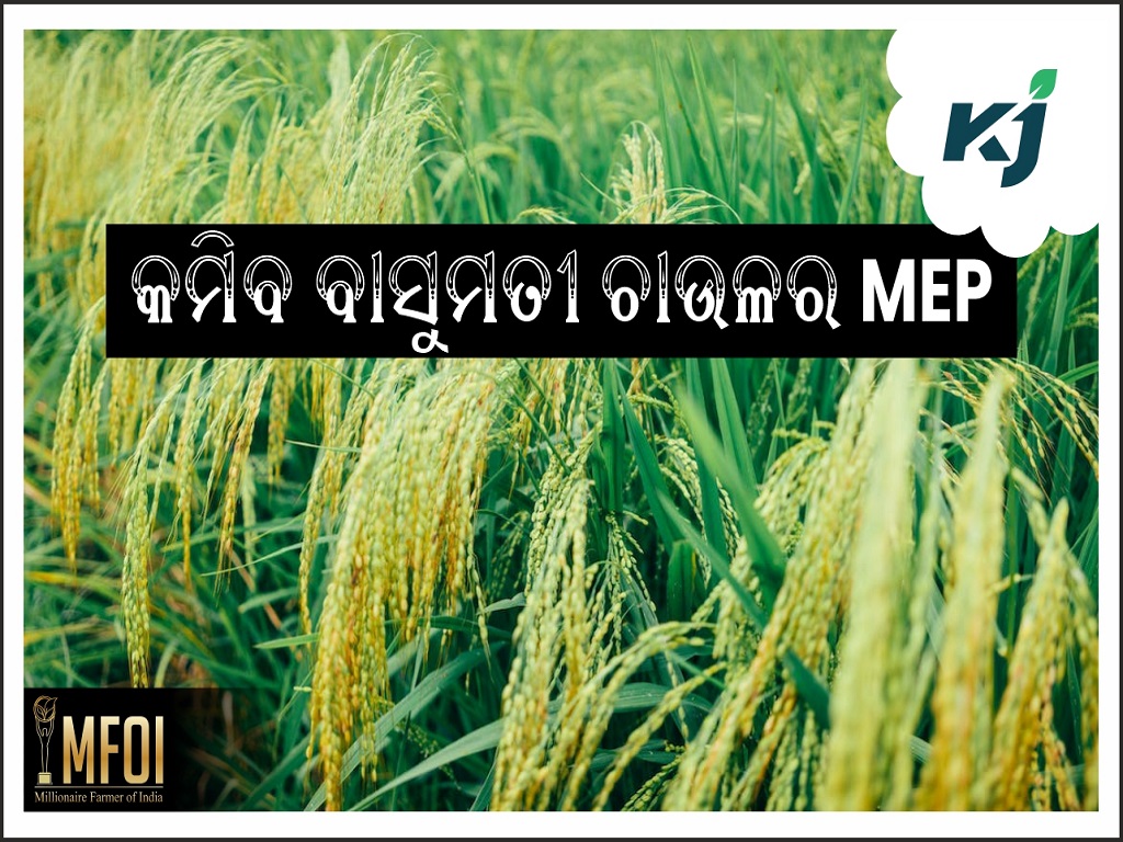 Modi government will reduce mep minimum export price of basmati rice, image source - pexels.com